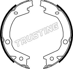 Trusting 046.220 - Комплект спирачна челюст, ръчна спирачка vvparts.bg