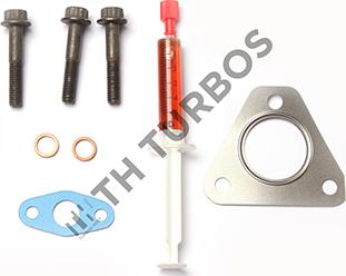 TURBO'S HOET TT1100252 - Монтажен комплект, турбина vvparts.bg