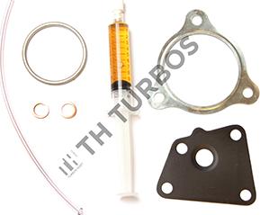 TURBO'S HOET TT1103400 - Монтажен комплект, турбина vvparts.bg