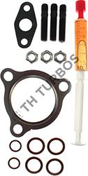 TURBO'S HOET TT1103543 - Монтажен комплект, турбина vvparts.bg