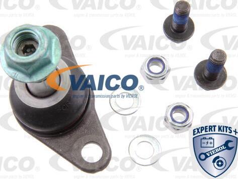 VAICO V95-9519 - Шарнири vvparts.bg