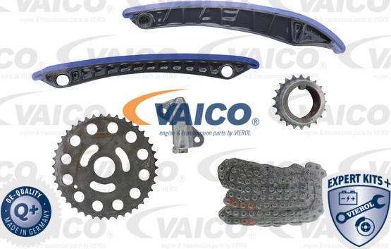 VAICO V46-10005 - Комплект ангренажна верига vvparts.bg