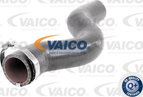 VAICO V46-1034 - Въздуховод за турбината vvparts.bg