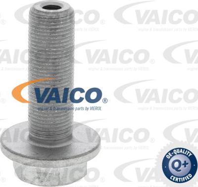 VAICO V46-1162 - Дефазатор разпр. вал vvparts.bg