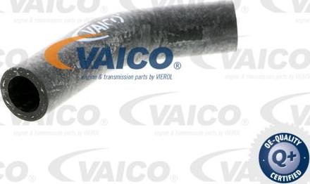 VAICO V40-0367 - Маркуч на радиатора vvparts.bg