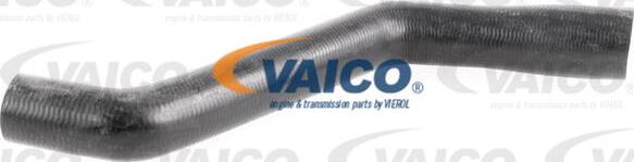 VAICO V40-1162 - Маркуч на радиатора vvparts.bg