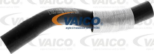 VAICO V42-0564 - Въздуховод за турбината vvparts.bg
