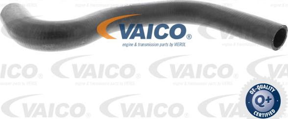 VAICO V42-0640 - Маркуч на радиатора vvparts.bg