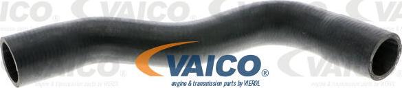 VAICO V42-0669 - Маркуч на радиатора vvparts.bg