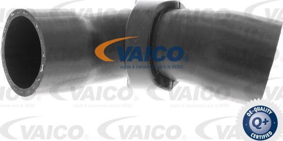 VAICO V42-0613 - Въздуховод за турбината vvparts.bg