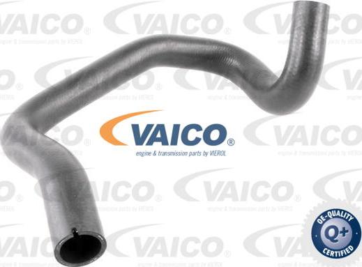 VAICO V42-0639 - Маркуч на радиатора vvparts.bg