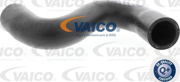 VAICO V42-0635 - Маркуч на радиатора vvparts.bg