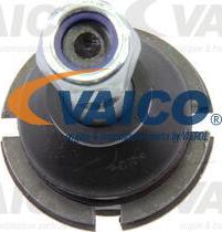 VAICO V42-0081 - Шарнири vvparts.bg