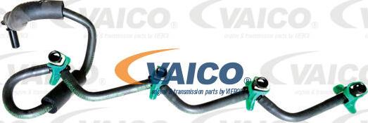 VAICO V42-0865 - Маркуч, излишно гориво vvparts.bg