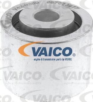 VAICO V42-0200 - Паразитна / водеща ролка, пистов ремък vvparts.bg