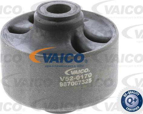 VAICO V52-0170 - Тампон, носач vvparts.bg