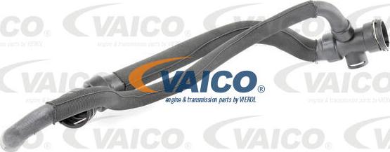 VAICO V10-4625 - Маркуч на радиатора vvparts.bg