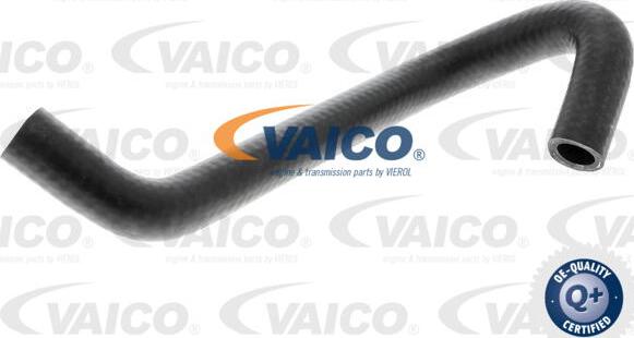 VAICO V10-4672 - Маркуч на радиатора vvparts.bg