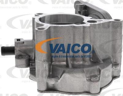 VAICO V10-5593 - Вакуум помпа, спирачна система vvparts.bg