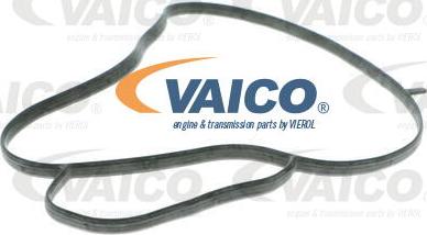 VAICO V10-50093 - Водна помпа vvparts.bg