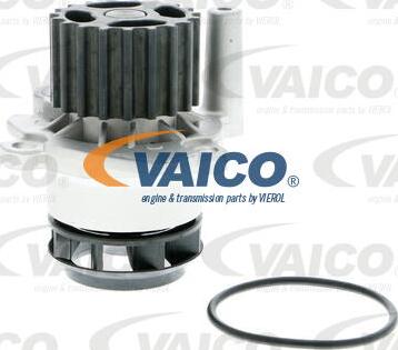 VAICO V10-50060-1 - Водна помпа vvparts.bg