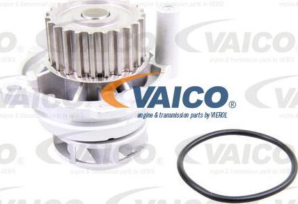 VAICO V10-50106-BEK - Водна помпа+ к-кт ангренажен ремък vvparts.bg