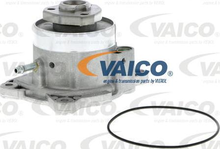 VAICO V10-50081 - Водна помпа vvparts.bg