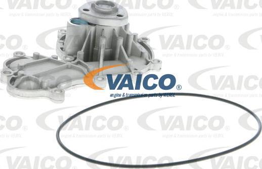 VAICO V10-50079 - Водна помпа vvparts.bg