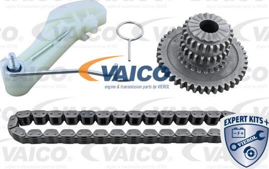 VAICO V10-5855 - Верига к-кт, задвижване маслена помпа vvparts.bg
