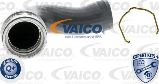 VAICO V10-5315 - Въздуховод за турбината vvparts.bg