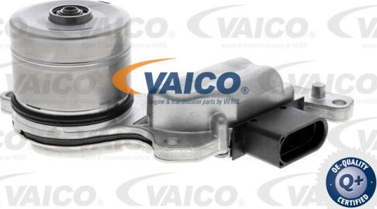 VAICO V10-6991 - Маслена помпа, автоматична трансмисия vvparts.bg