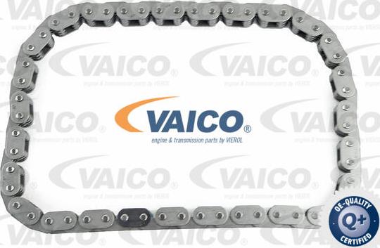 VAICO V10-6520 - Верига, задвижване на маслената помпа vvparts.bg