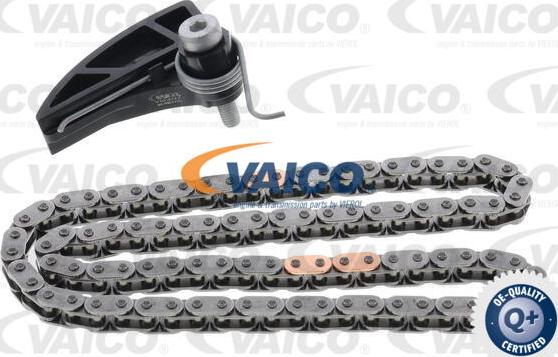 VAICO V10-6521 - Верига к-кт, задвижване маслена помпа vvparts.bg