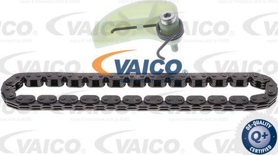 VAICO V10-6522 - Верига к-кт, задвижване маслена помпа vvparts.bg