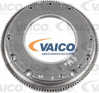 VAICO V10-6576 - Маховик vvparts.bg