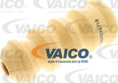 VAICO V10-6034-1 - Ударен тампон, окачване (ресьори) vvparts.bg