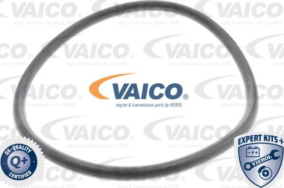 VAICO V10-0440-1 - Хидравличен филтър, автоматична предавателна кутия vvparts.bg