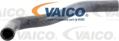 VAICO V10-0061 - Маркуч на радиатора vvparts.bg