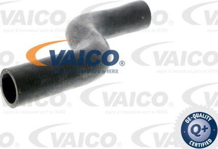 VAICO V10-0070 - Маркуч на радиатора vvparts.bg