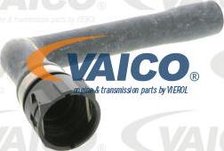 VAICO V10-0895 - Маркуч на радиатора vvparts.bg