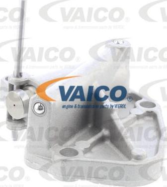 VAICO V10-4503 - Обтегач, ангренажна верига vvparts.bg
