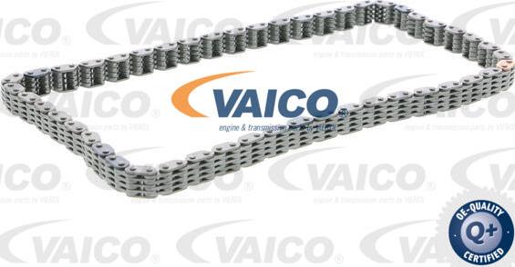 VAICO V10-10022-BEK2 - Комплект ангренажна верига vvparts.bg