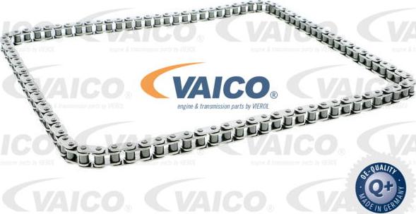 VAICO V10-3343 - Ангренажна верига vvparts.bg
