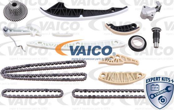 VAICO V10-10024 - Комплект ангренажна верига vvparts.bg