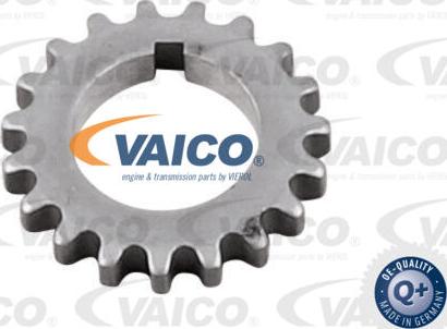 VAICO V10-5827 - Зъбно колело, колянов вал vvparts.bg