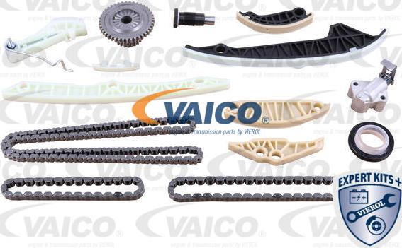 VAICO V10-10022 - Комплект ангренажна верига vvparts.bg