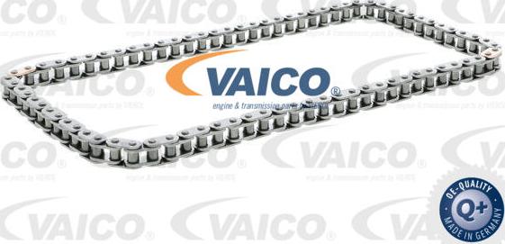 VAICO V10-3402 - Верига, задвижване на маслената помпа vvparts.bg