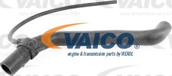 VAICO V10-3199 - Маркуч на радиатора vvparts.bg