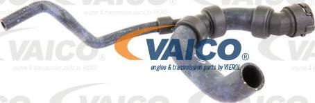 VAICO V10-3195 - Маркуч на радиатора vvparts.bg