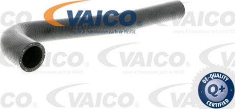 VAICO V10-3203 - Маркуч на радиатора vvparts.bg